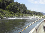 PAP_0222.JPG