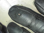 ST330264.JPG