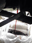 PAP_0406.gif