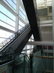 D1010034.jpg