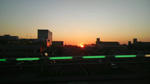 2009012516540000.jpg