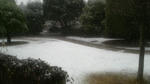 2009022714010000.jpg