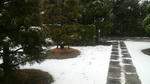 2009022720090000.jpg