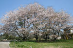IMG_3391-2.JPG