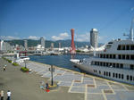 IMG_1263.JPG
