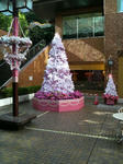2009112023020000.jpg