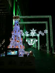 2009122121010000.jpg