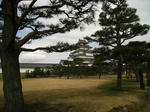 IMG_1564.JPG
