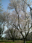 2010041521240000.jpg