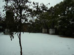 s-RIMG0003.jpg
