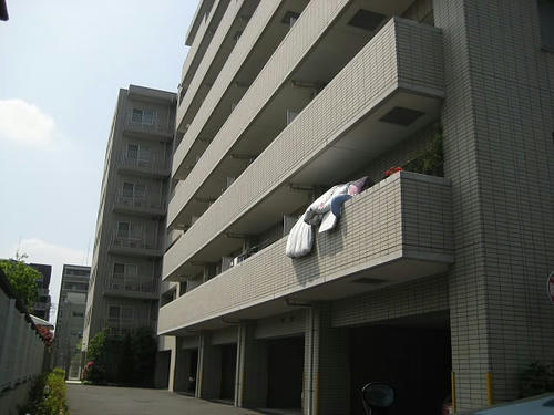 005.JPG