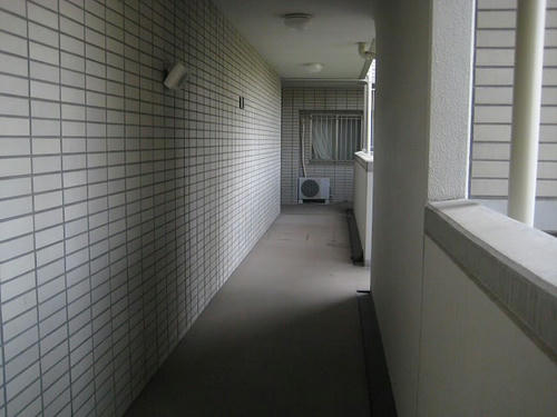 036.JPG