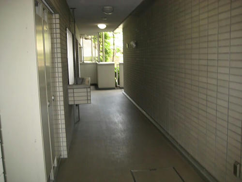 196.JPG
