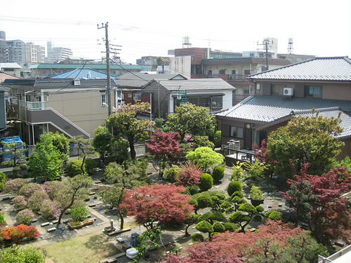 133.JPG