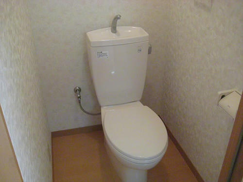 142.JPG