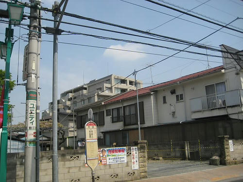 184.JPG