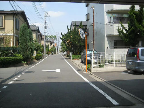 198.JPG