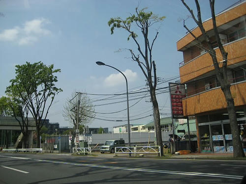 203.JPG