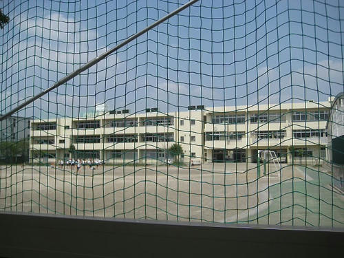 208.JPG