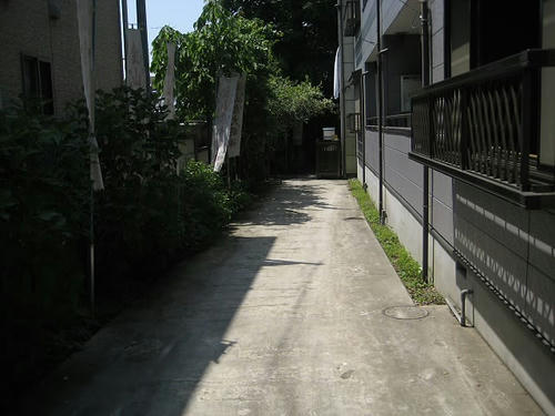 281.JPG