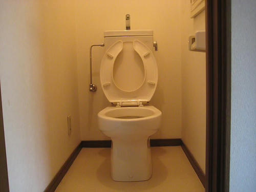 290.JPG