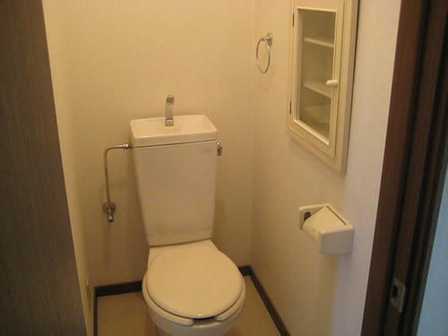 291.JPG