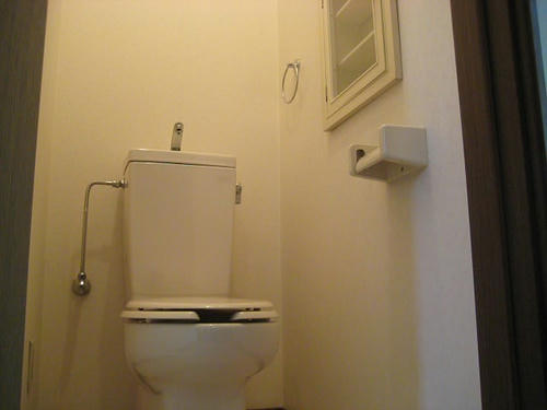 293.JPG