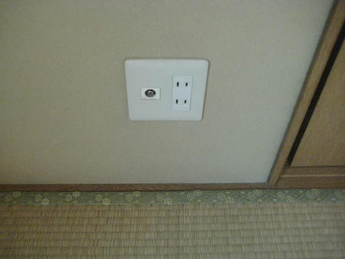 355.JPG