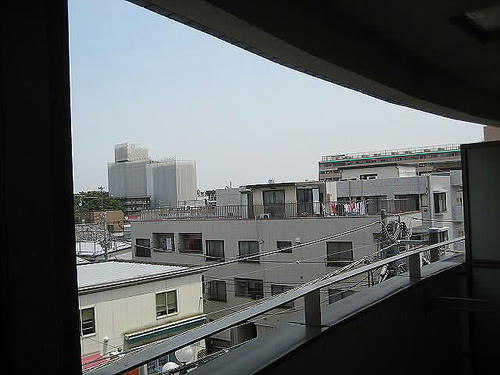 338.JPG