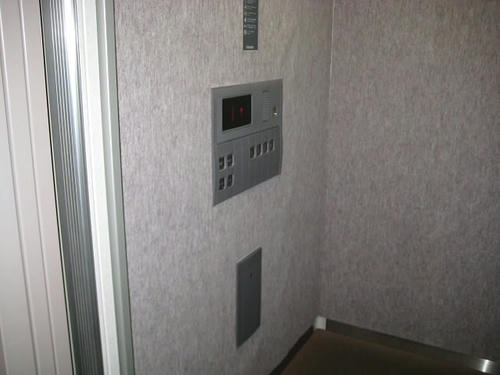 d31159b3.jpeg