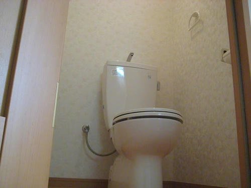 7442772a.jpeg