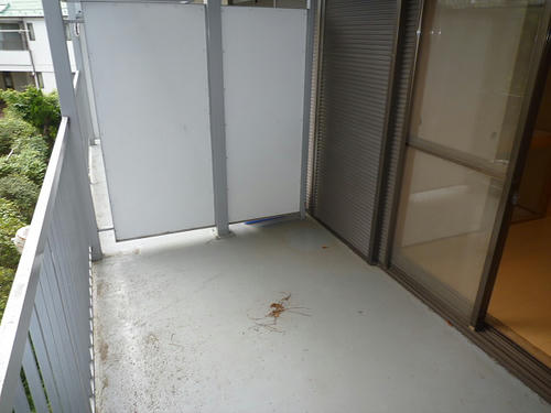 P1250007.JPG