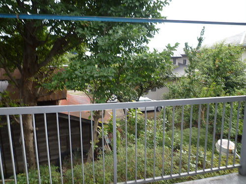 P1250008.JPG