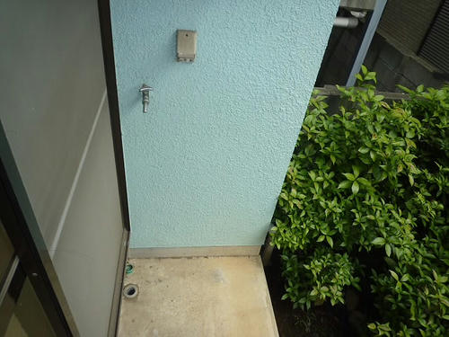 P1280136.JPG