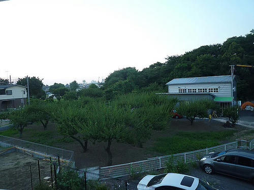 P1280689.JPG