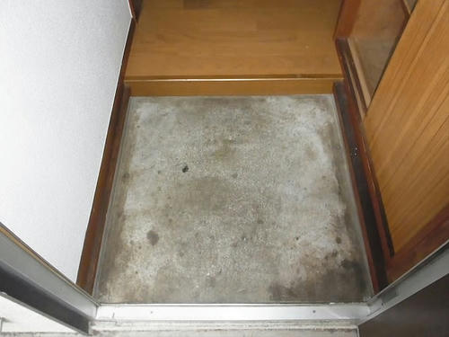 RIMG0354.JPG
