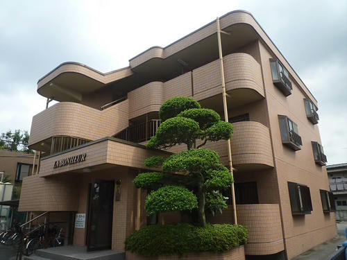 P1800050.JPG