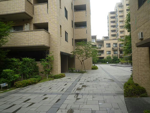 P1800042.JPG