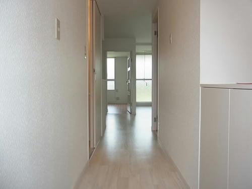 d9de450e.jpeg