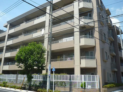 P1810397.JPG
