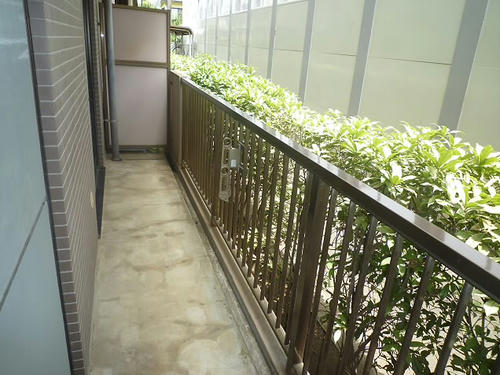 P1810845.JPG