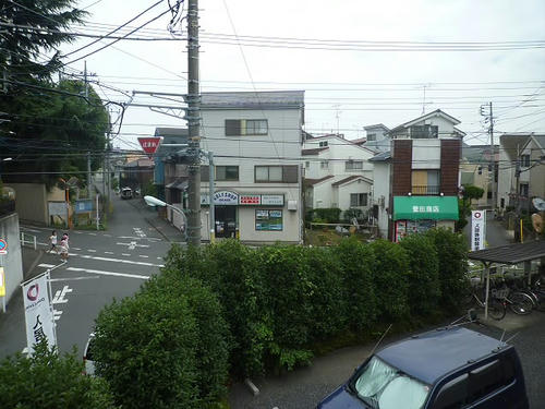 P1820191.JPG