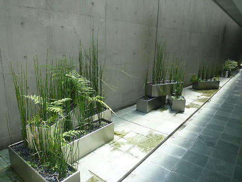 P1860580.JPG