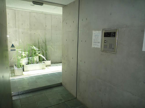 P1860577.JPG