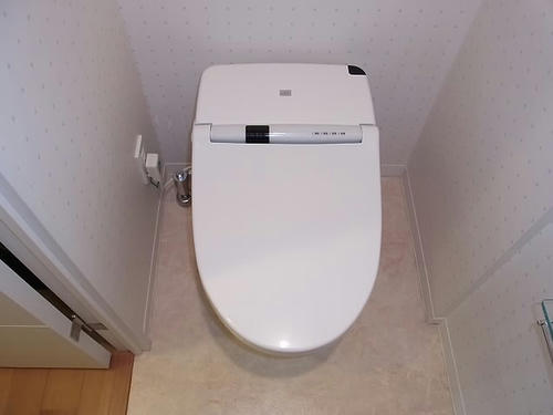d710817a.jpeg