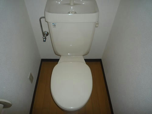 P1700232.JPG
