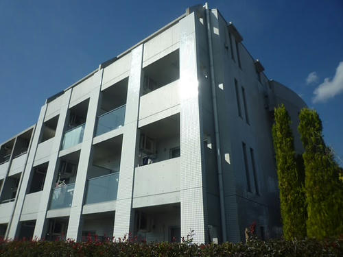 P1900054.JPG