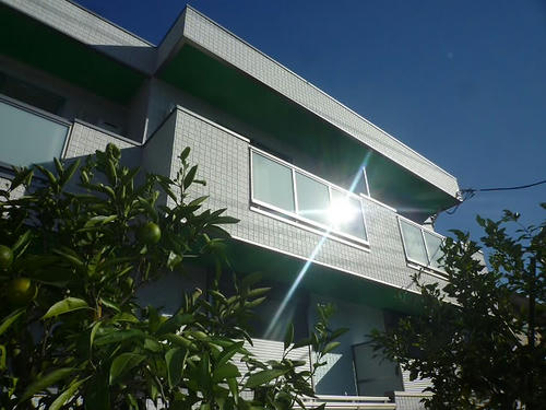 P2230013.JPG
