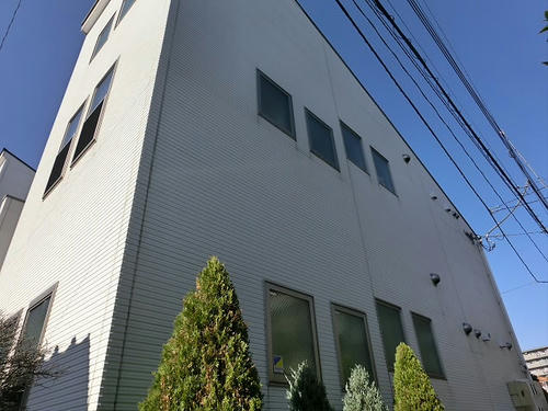 CIMG0667.JPG