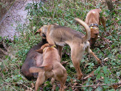 SANY0048.JPG